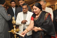Sonia at Muse Art Gallery